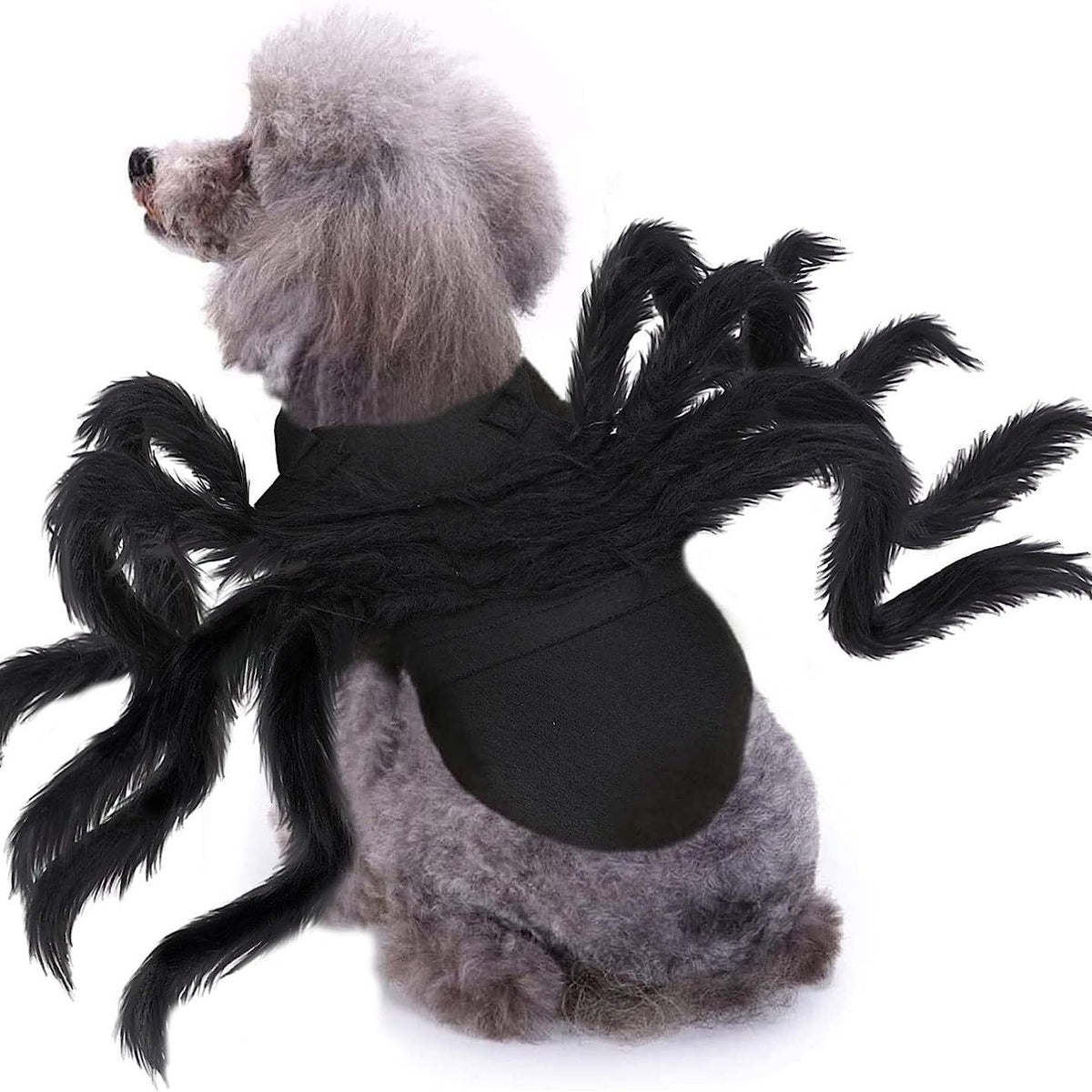 Halloween pet prop bat wings