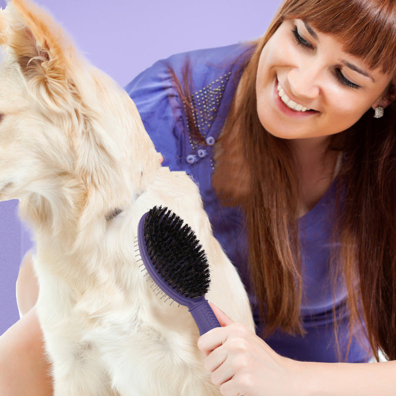Pet Products Pet Double Face Comb Dog Cat Beauty Air Bag Massage Needle Comb Pet Pig Hair Removal Brush